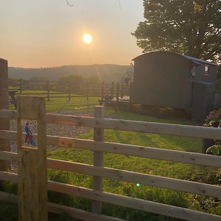 The Peacock Shepherds Hut At Hafoty Boeth Corwen Eksteriør bilde