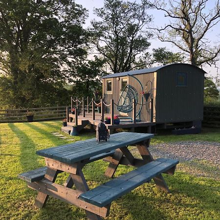 The Peacock Shepherds Hut At Hafoty Boeth Corwen Eksteriør bilde