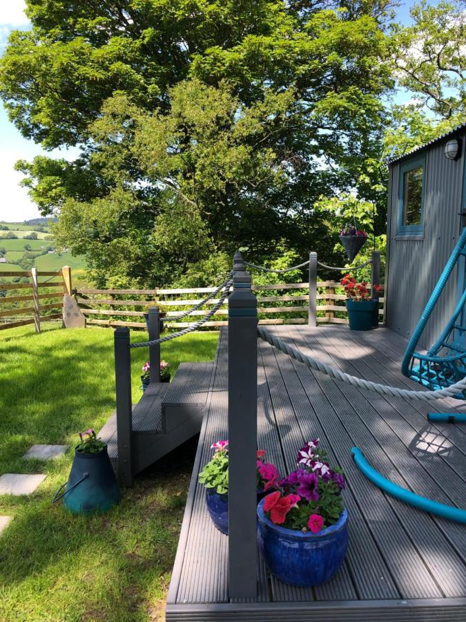 The Peacock Shepherds Hut At Hafoty Boeth Corwen Eksteriør bilde