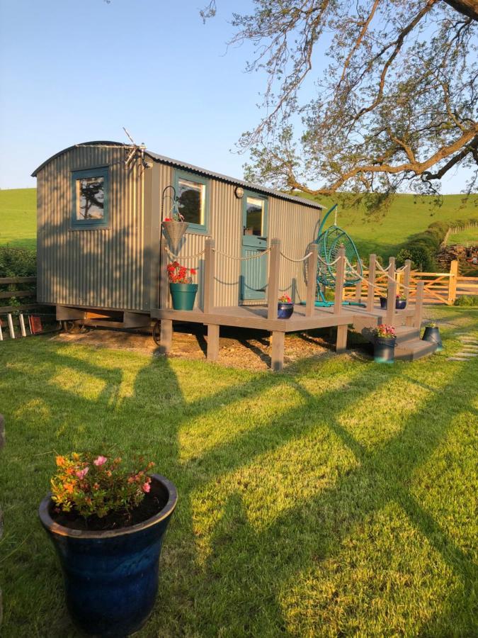 The Peacock Shepherds Hut At Hafoty Boeth Corwen Eksteriør bilde