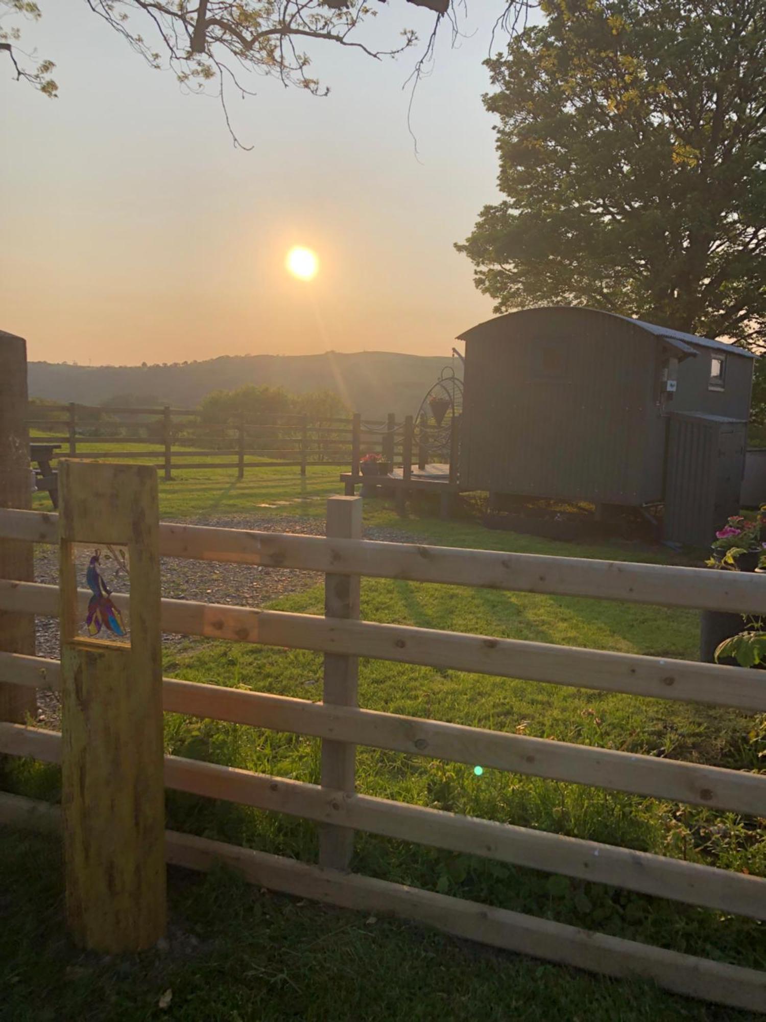 The Peacock Shepherds Hut At Hafoty Boeth Corwen Eksteriør bilde