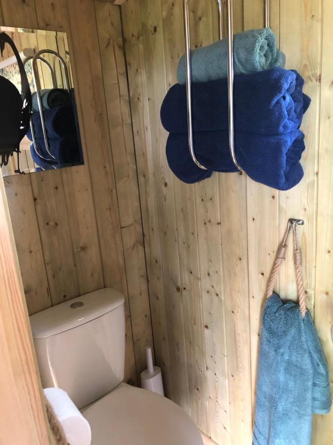 The Peacock Shepherds Hut At Hafoty Boeth Corwen Eksteriør bilde