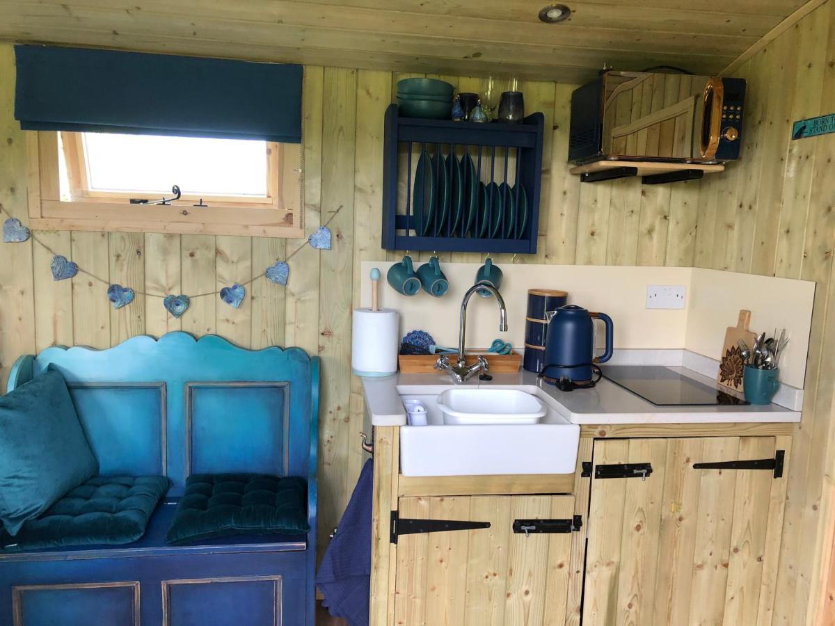 The Peacock Shepherds Hut At Hafoty Boeth Corwen Eksteriør bilde