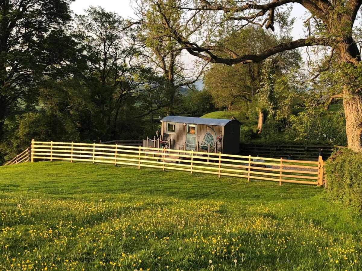 The Peacock Shepherds Hut At Hafoty Boeth Corwen Eksteriør bilde