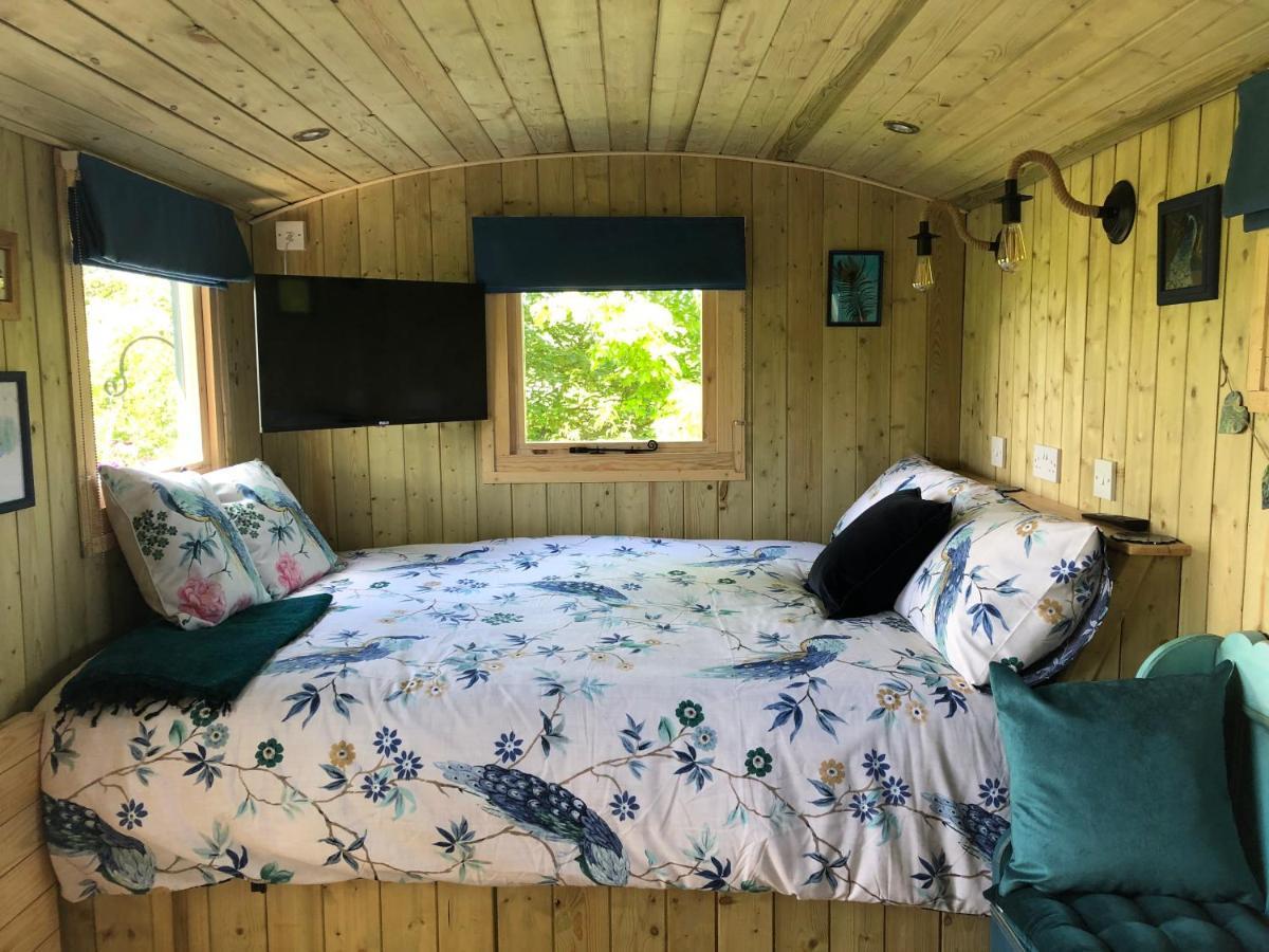 The Peacock Shepherds Hut At Hafoty Boeth Corwen Eksteriør bilde