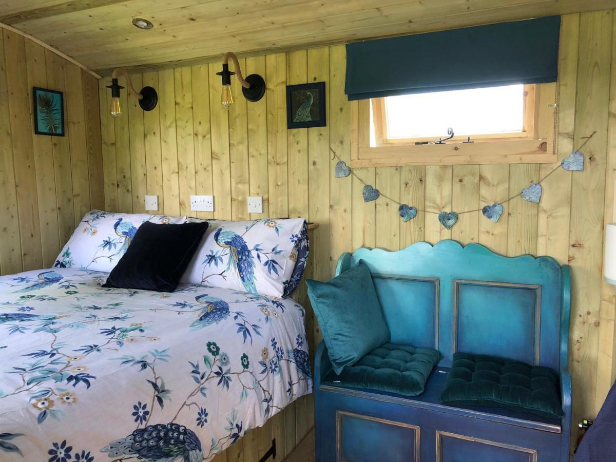 The Peacock Shepherds Hut At Hafoty Boeth Corwen Eksteriør bilde