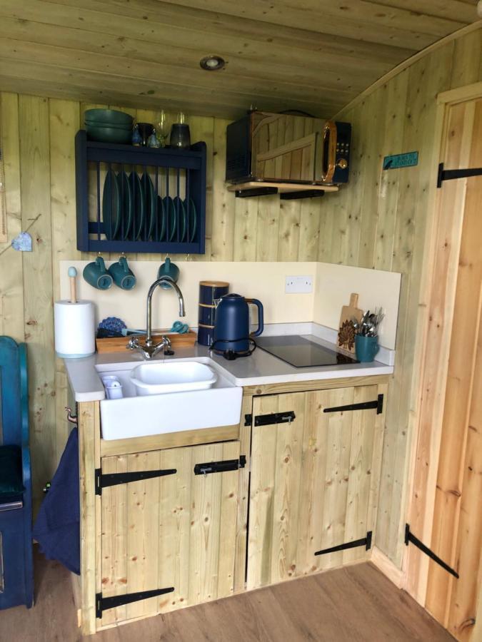 The Peacock Shepherds Hut At Hafoty Boeth Corwen Eksteriør bilde