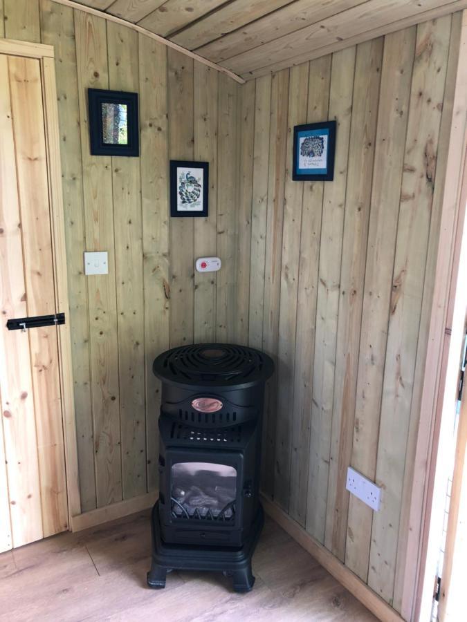 The Peacock Shepherds Hut At Hafoty Boeth Corwen Eksteriør bilde